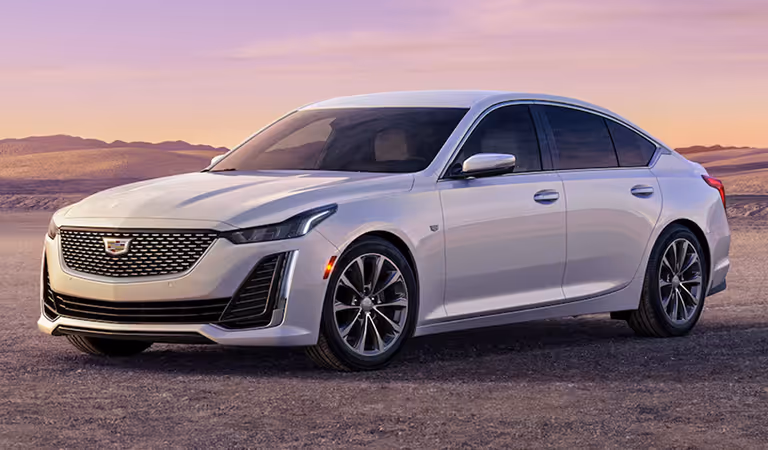 Car Advisor showroom